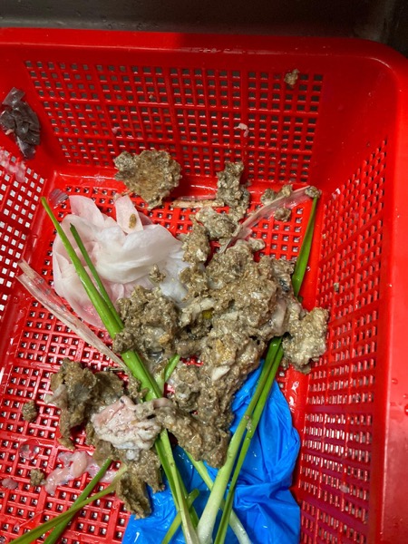 DrainFix HK 從食肆隔油池挖出嘅食物殘渣同塑膠手套碎